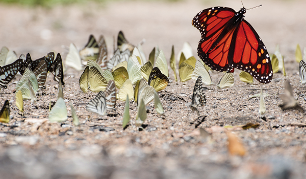 lotte lemke bildungswerk lucy romberg haus